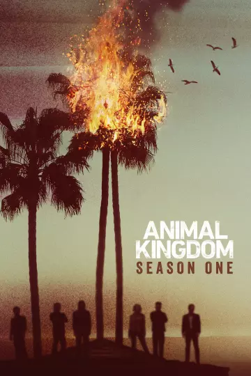 Animal Kingdom - Saison 1